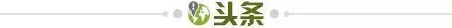 1727999861780031593.jpg 头条.jpg